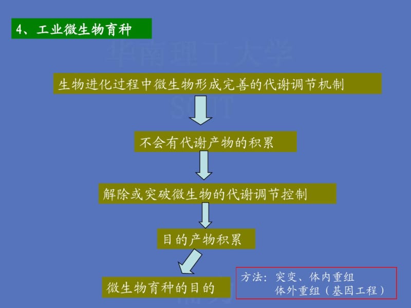 生物进化过程中微生物形成完善的代谢调节机制.pdf_第1页