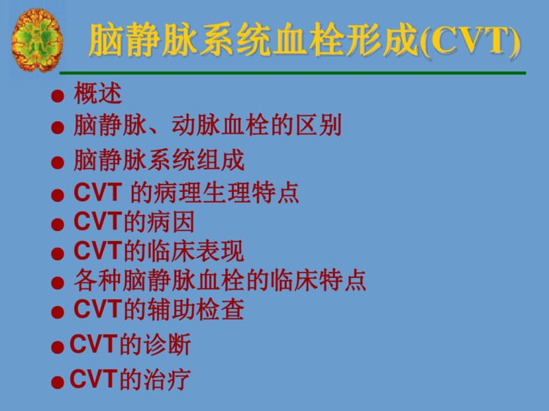 脑静脉系统血栓形成.pdf_第2页