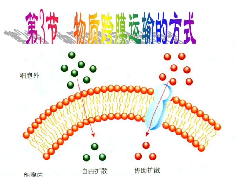 细胞膜的结构特点和功能特点分别是什么.pdf_第1页