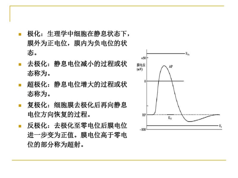 细胞电生理.pdf_第3页