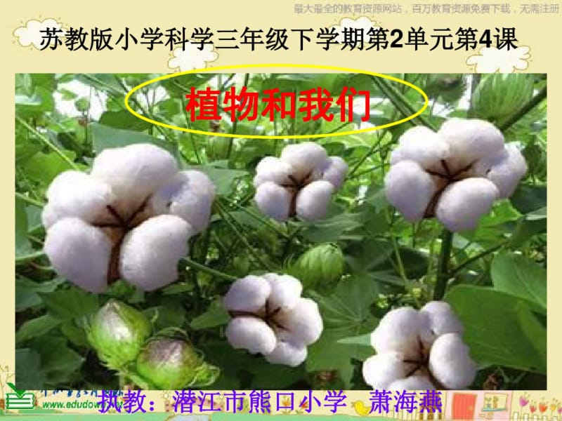 苏教版科学三下《植物和我们》PPT课件4.pdf_第1页