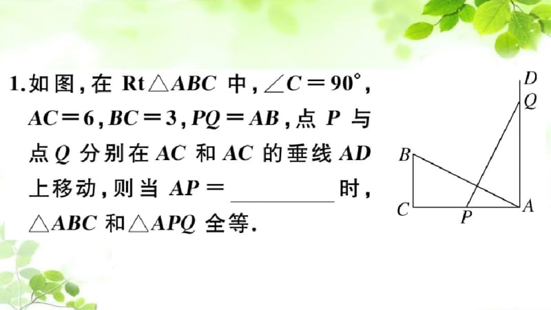 新人教版八年级上册数学难点探究专题：动态变化中的三角形全等.pdf_第2页