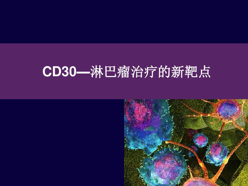 CD30_淋巴瘤治疗新靶点.pdf_第1页