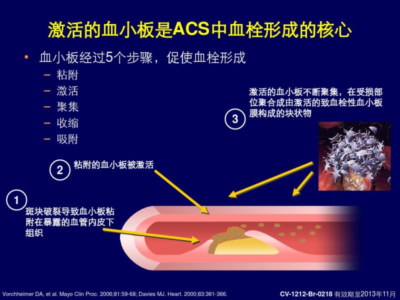 抗血栓药的发展及替格瑞洛的早期研究.pdf_第3页