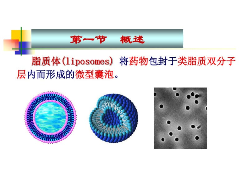 药剂学课件--脂质体课件.pdf_第3页