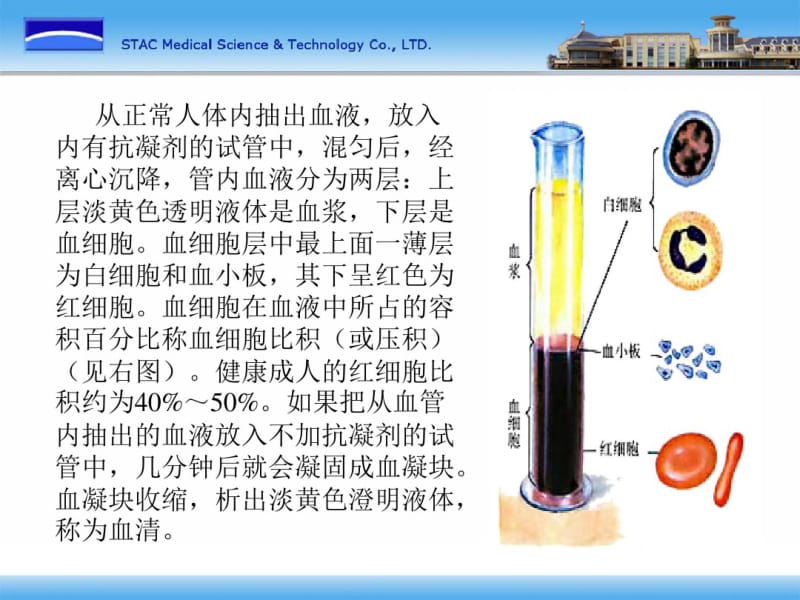 血液学临床知识基础.pdf_第3页