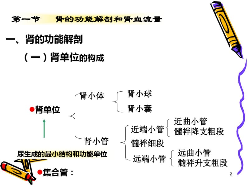 第八章--尿的生成和排出.pdf_第2页