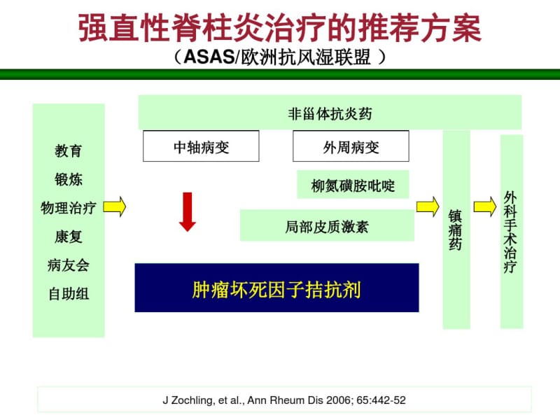 益赛普治疗强直性脊柱炎.pdf_第3页