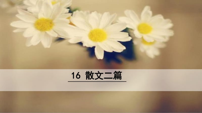 统编八年级上册语文16散文二篇.pdf_第1页