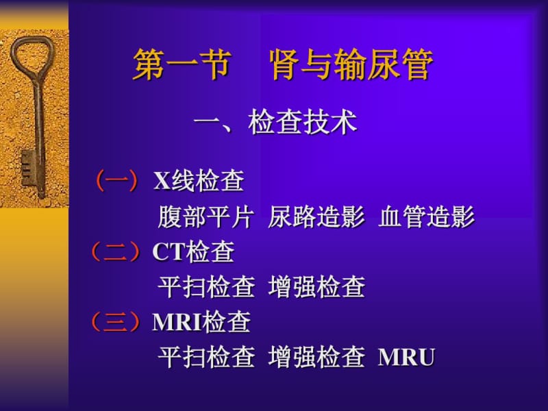 泌尿系统影像学检查.pdf_第2页