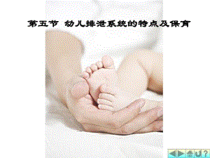 排泄系统与内分泌系统.pdf