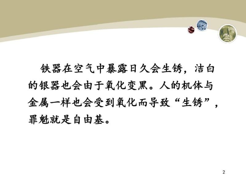 自由基损伤学说及抗氧化剂.pdf_第2页