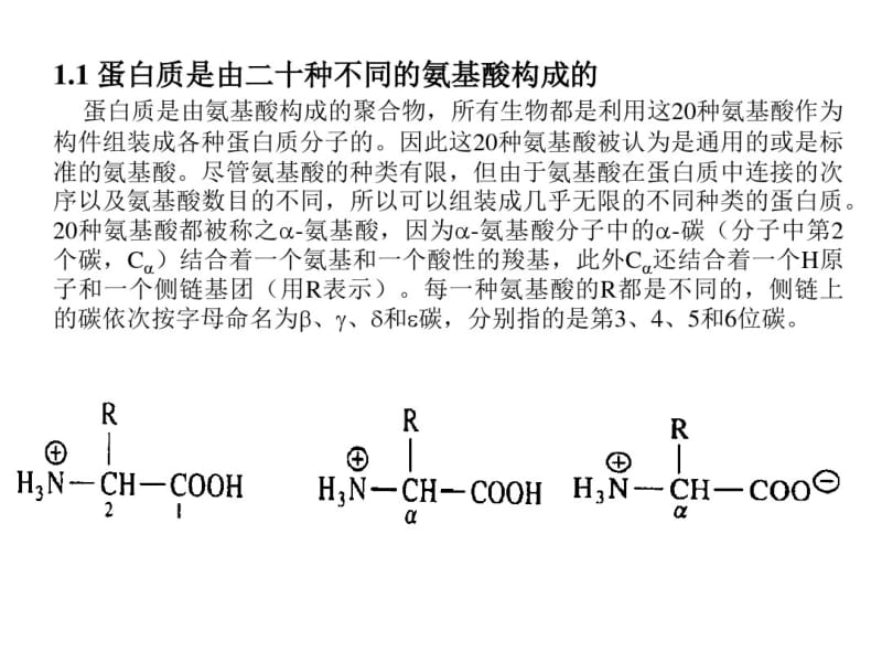 氨基酸和蛋白质一级结构.pdf_第2页