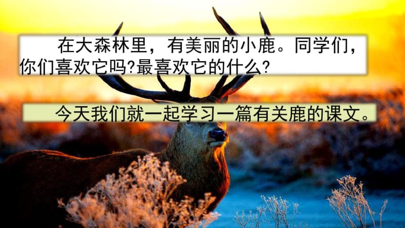 部编版三年级下册语文7鹿角和鹿腿.pdf_第1页