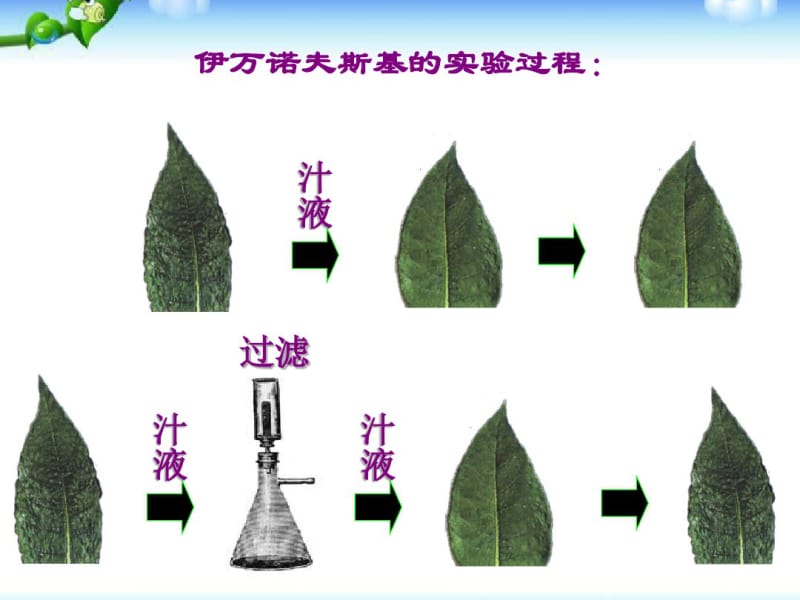 生物课件病毒.pdf_第3页