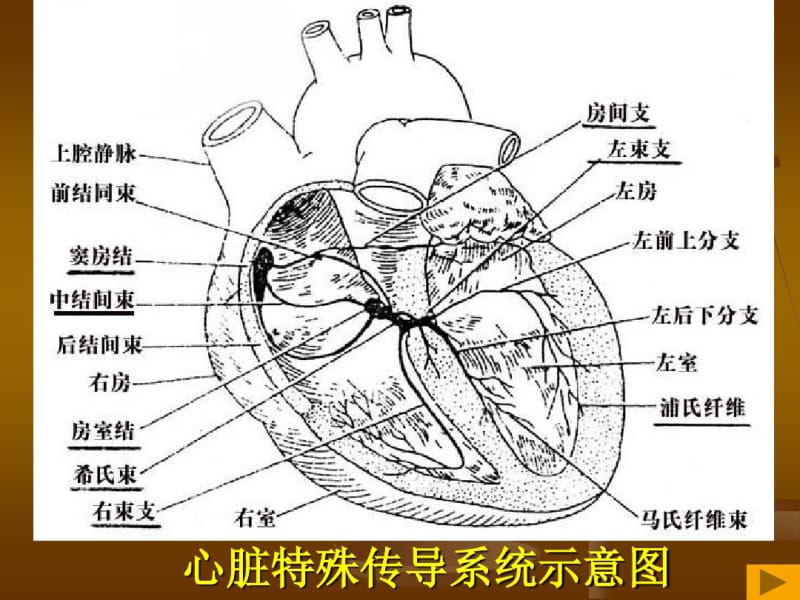 异常心电图的识别.pdf_第2页