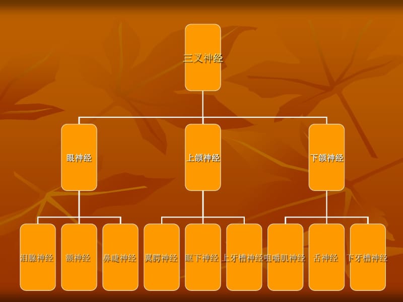 三叉神经鞘瘤.pdf_第3页