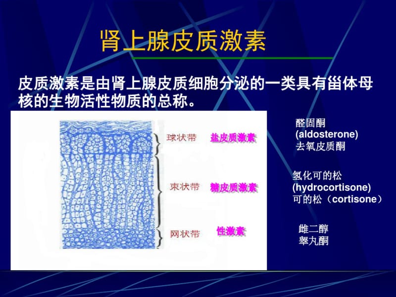 糖皮质激素麻醉.pdf_第2页