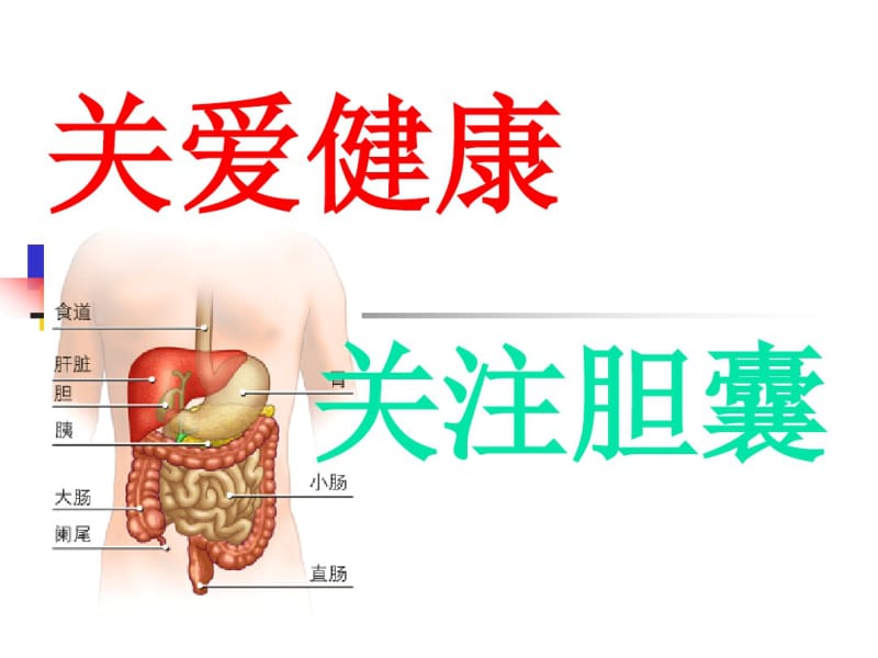 关注胆囊饮食指导-(1).pdf_第1页