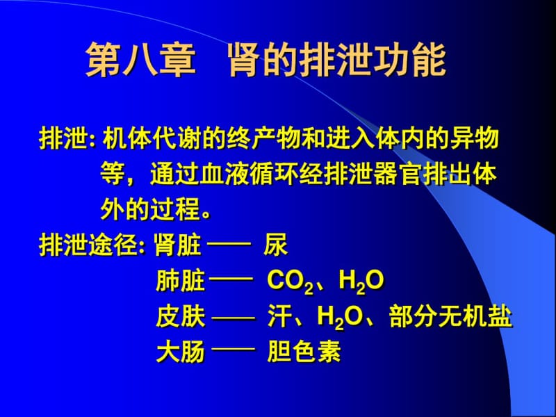 第一节肾的结构及血液循环特点.pdf_第1页