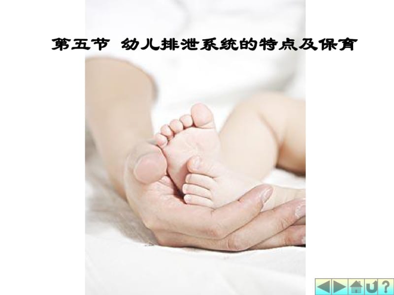 排泄系统与内分泌系统.pdf_第1页