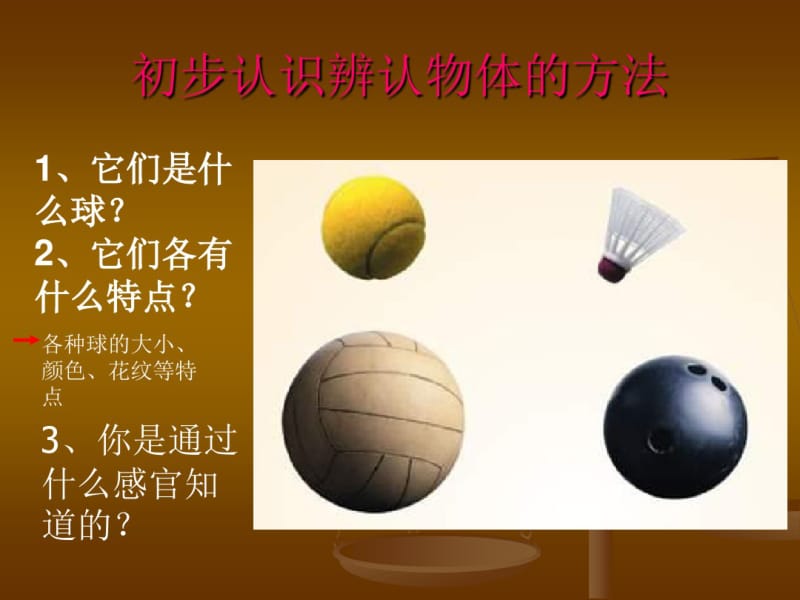 青岛版科学三上《怎样认识物体》PPT课件1.pdf_第3页