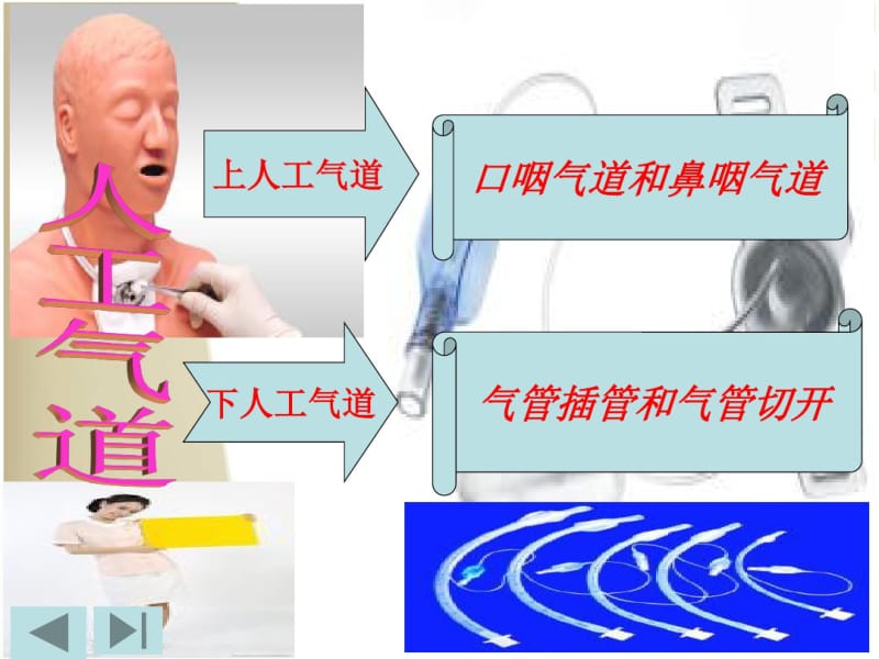 气管插管及切管护理.pdf_第3页