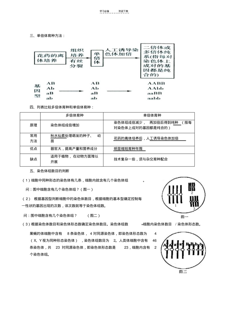 【优质文档】(用)高三一轮复习染色体变异.pdf_第2页