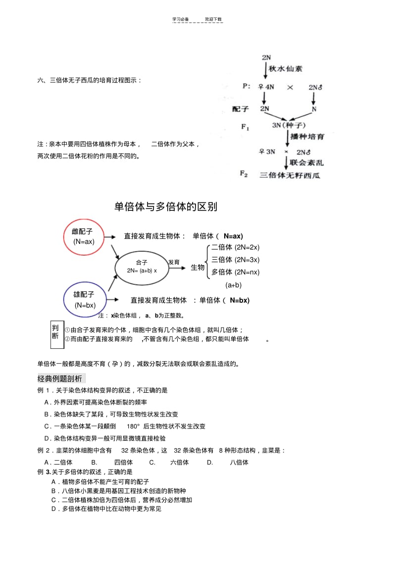 【优质文档】(用)高三一轮复习染色体变异.pdf_第3页