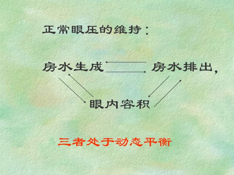 【优质文档】中医眼科学青光眼.pdf_第3页