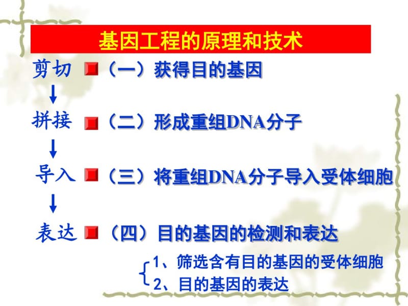 2015-2016学年高中生物课件：1.2基因工程的原理和技术(浙科版选修三).pdf_第3页