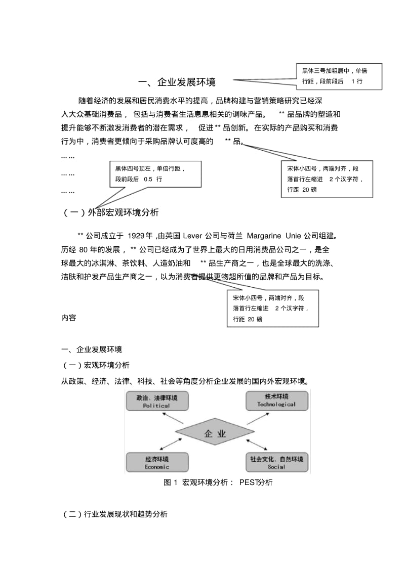 公司战略规划模板.pdf_第3页