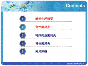 急性阑尾炎第八版课件.pdf