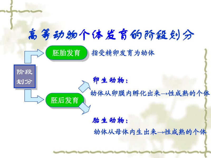 2015-2016学年高中生物课件：3.1从受精卵谈起(1)(浙科版选修三).pdf_第2页