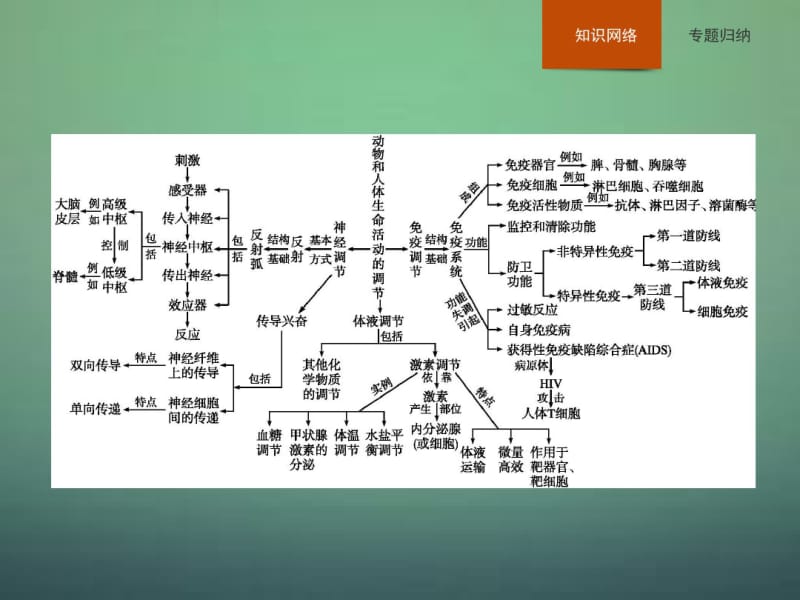 2015-2016学年高中生物第2章动物和人体生命活动的调节整合课件新人教版必修3.pdf_第2页