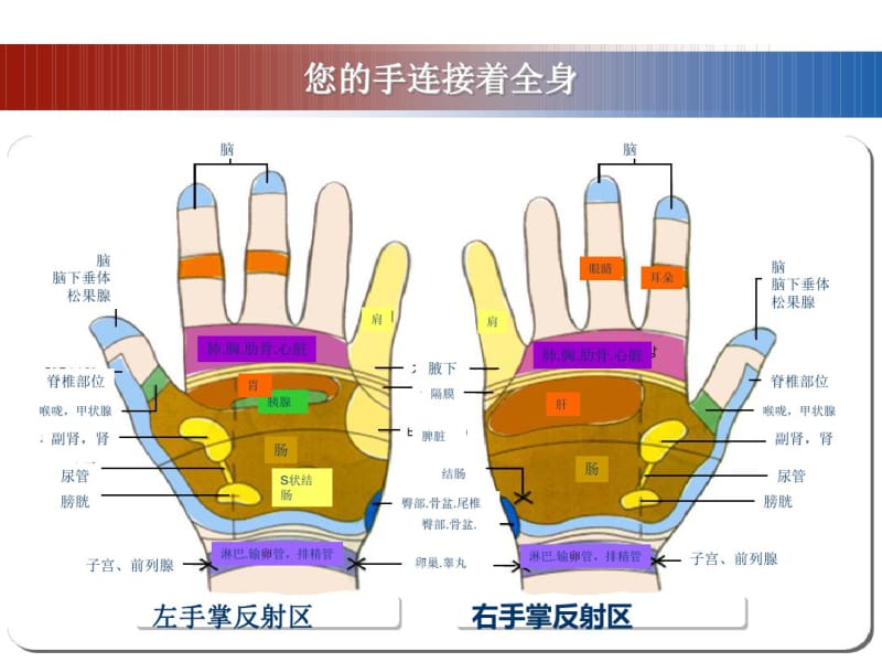 【优质文档】六西格玛概论教材.pdf_第2页