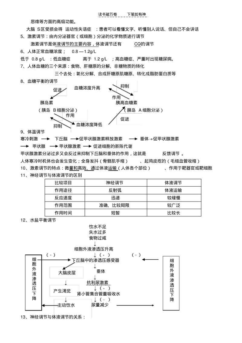 【优质文档】高二上学期期中考试生物复习提纲.pdf_第2页