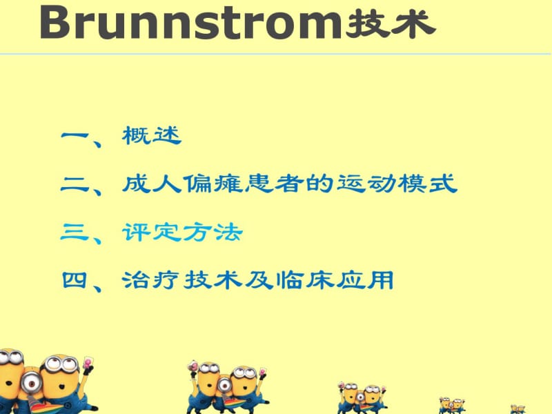 Brunnstrom_技术概述.pdf_第3页