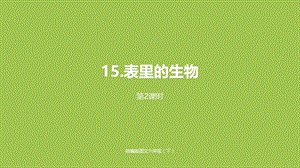 部编版六年级下册语文精美ppt第5单元《表里的生物》课时2.pptx