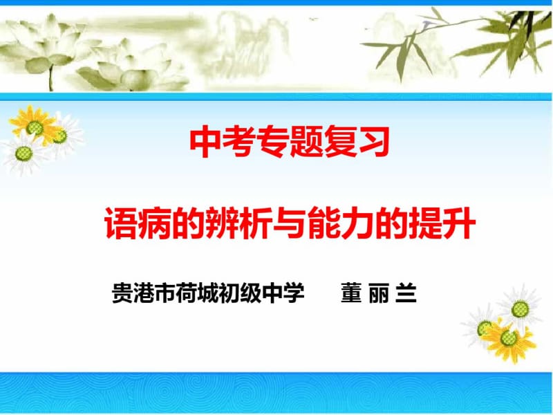 《语文中考专题复习——语病的辨析与能力的提升》.pdf_第1页