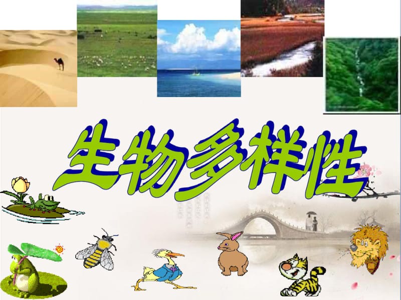 生物多样性.pdf_第2页