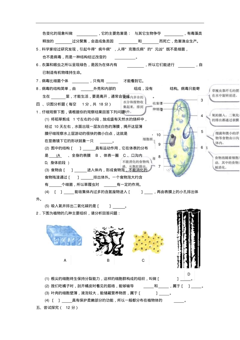 (新人教版)七年级生物上册单元检测卷(3)及答案.pdf_第3页