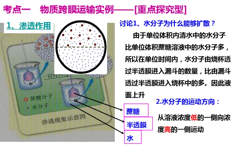 高三生物一轮复习物质跨膜运输的实例和方式.pdf_第2页