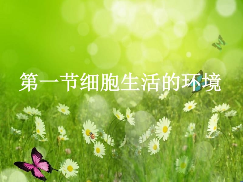 生物课件：细胞生活的环境.pdf_第1页