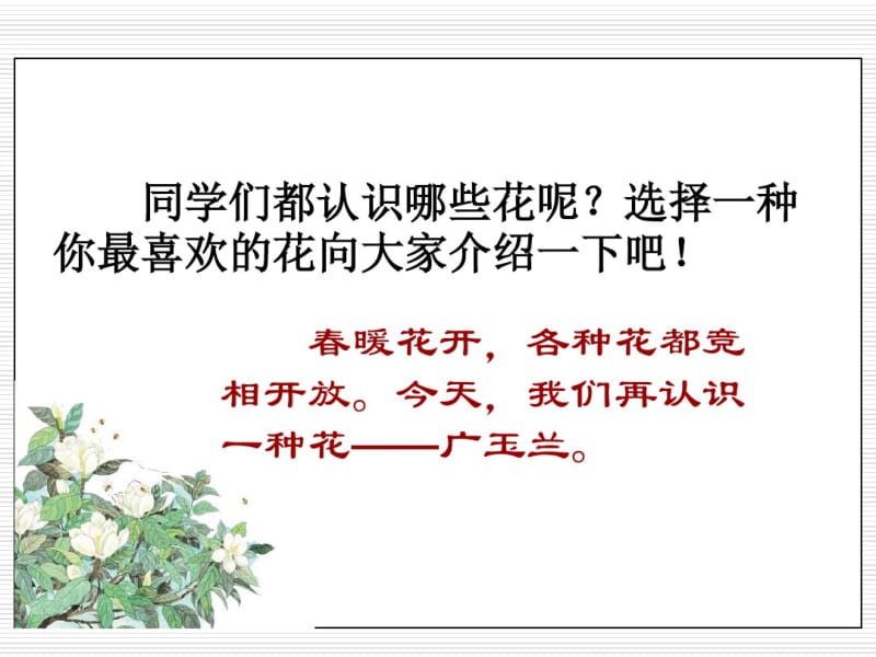 《广玉兰》PPT课件(共27张PPT).pdf_第2页