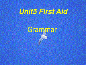 人教版必修5课件：unit5firstaid-grammar.pdf