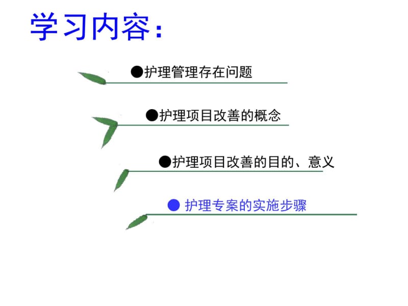 医学医疗护理专项改善课件.pdf_第2页