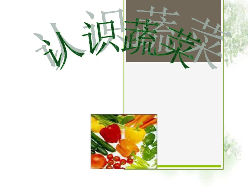 课件-认识蔬菜资料.pdf_第1页