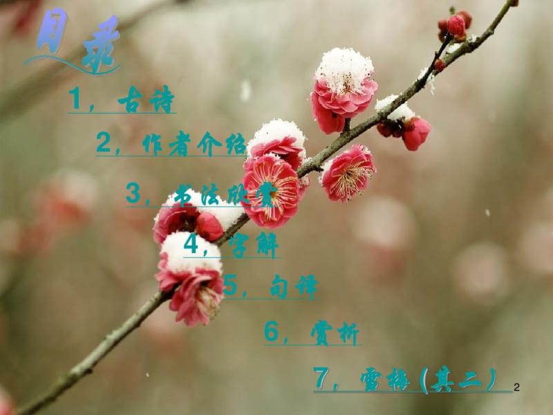 古诗《雪梅》ppt课件.pdf_第2页