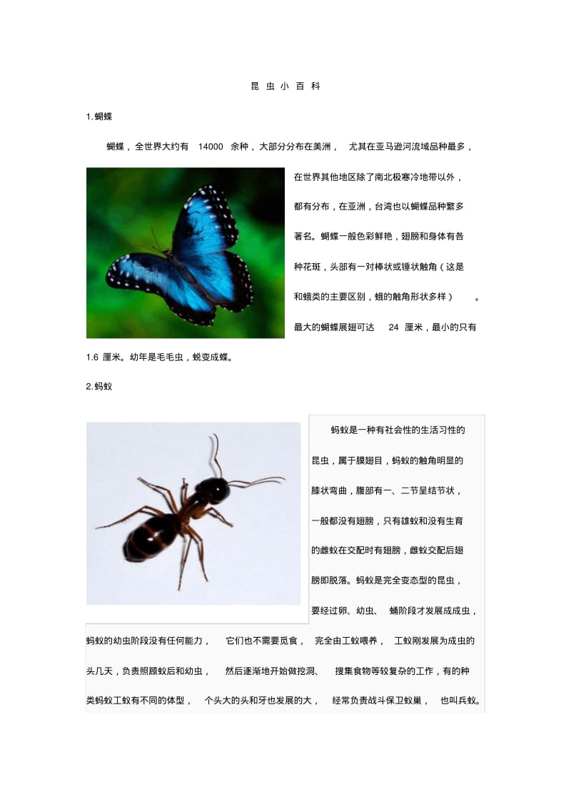 认识昆虫(名字图片)课件资料.pdf_第1页